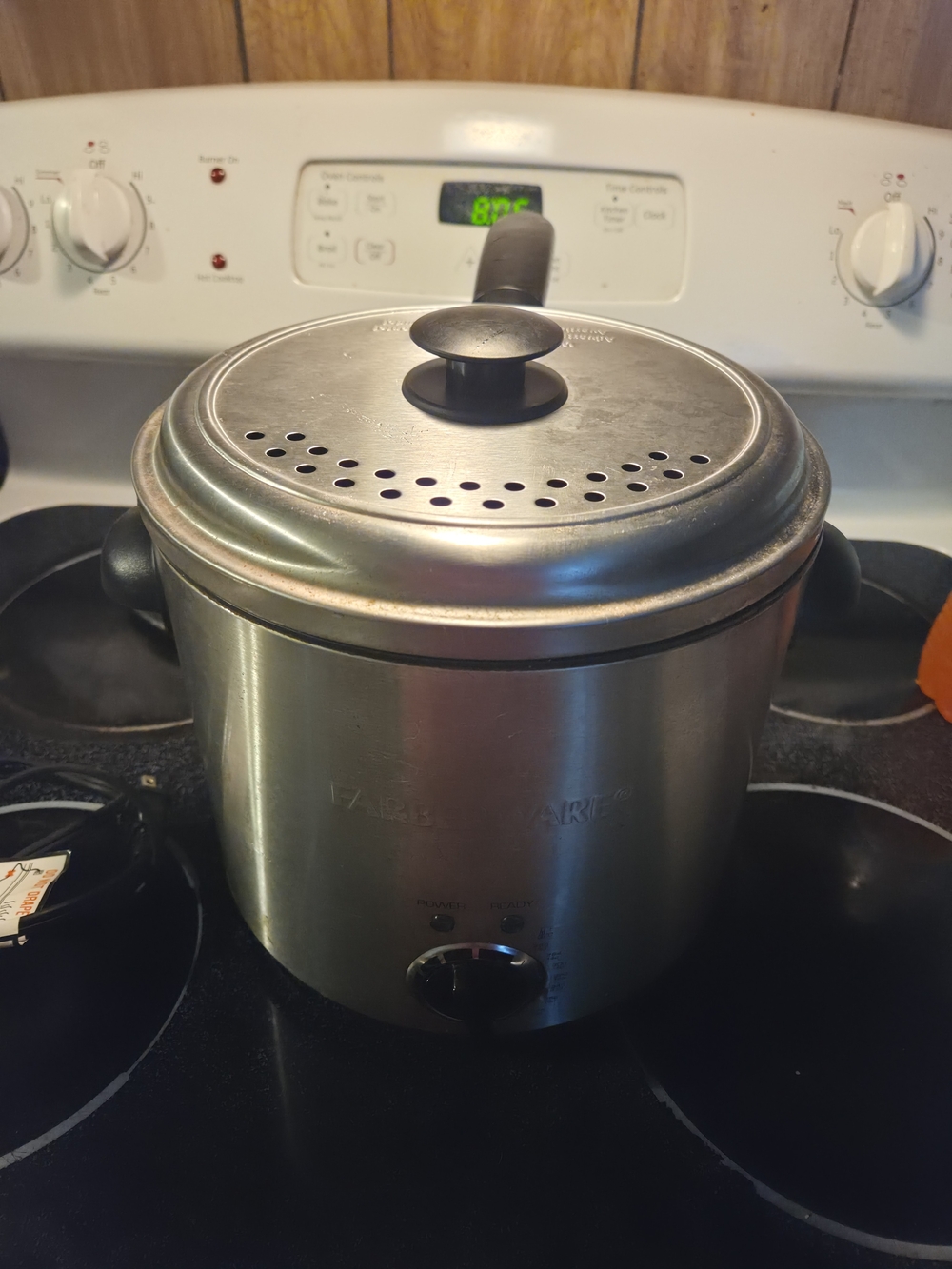 Farberware Stainless Steel Electric Fryer– Silver